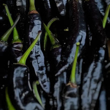 Black Cobra Pepper Seeds
