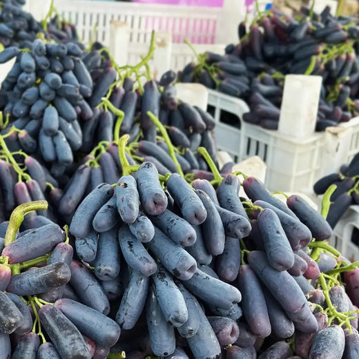Black Finger Grape Seeds