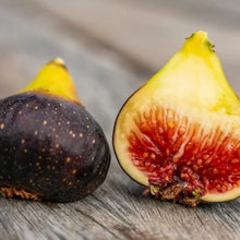 Black Madeira Fig Seeds