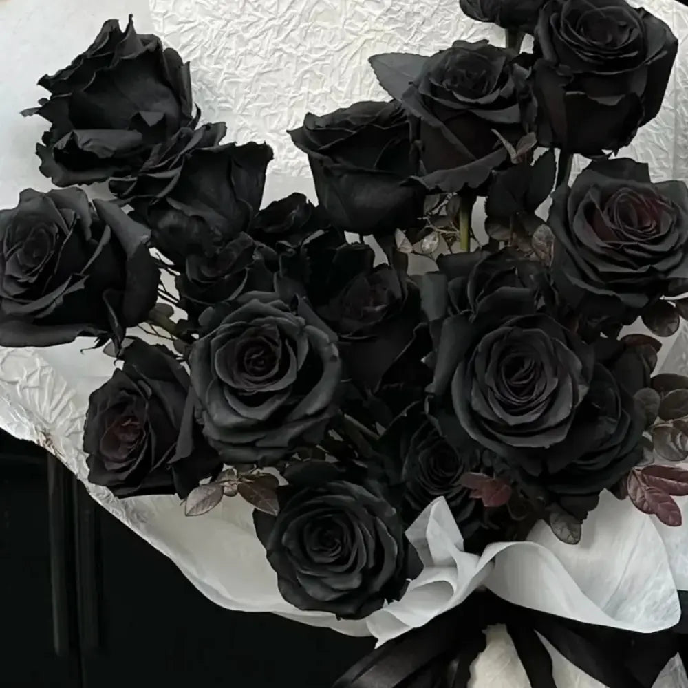 Black Rose Seeds