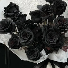 Black Rose Seeds
