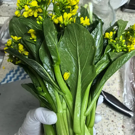 Choy Sum Cabbage Seeds