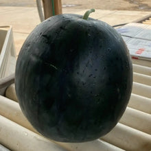 Densuke Watermelon Seeds