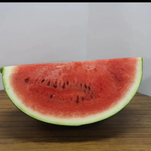 Densuke Watermelon Seeds