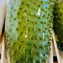 Giant Soursop Seeds