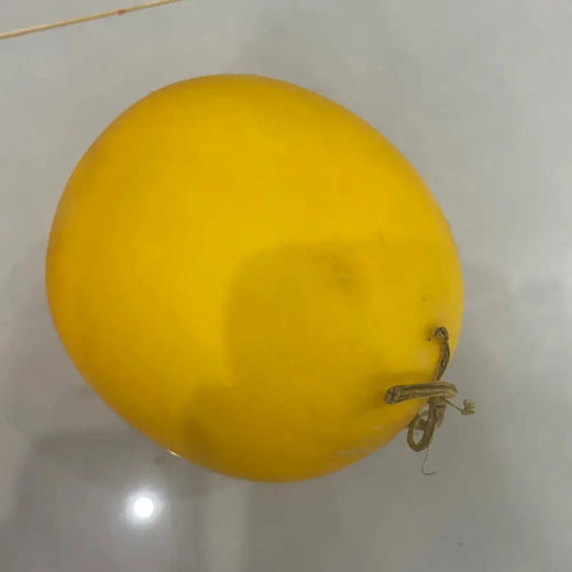 Hami Melon Seeds - Lemon Yellow