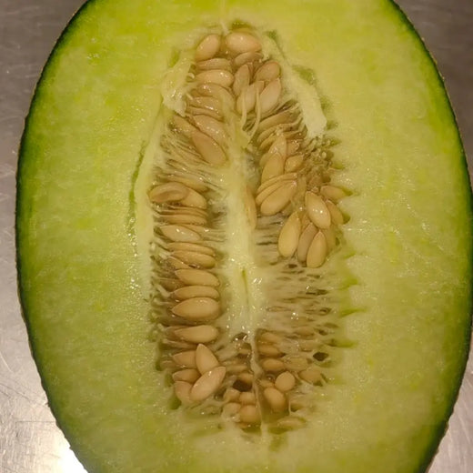 Honeydew Melon Seeds - Green