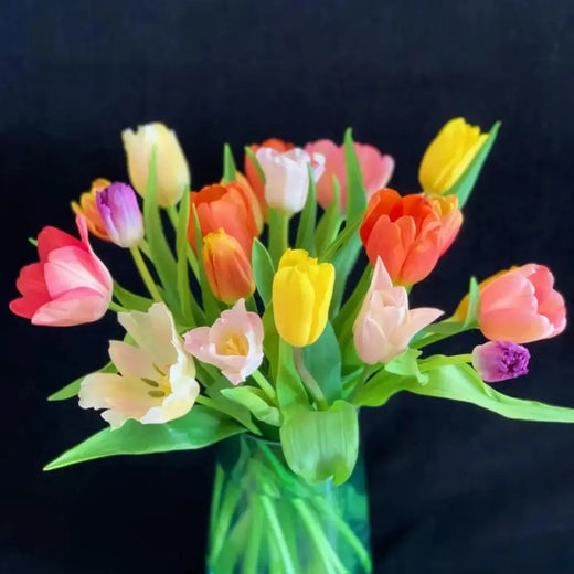 Mixed Tulip Flower Seeds