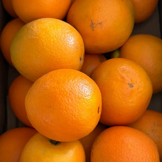 Navel Orange Seeds