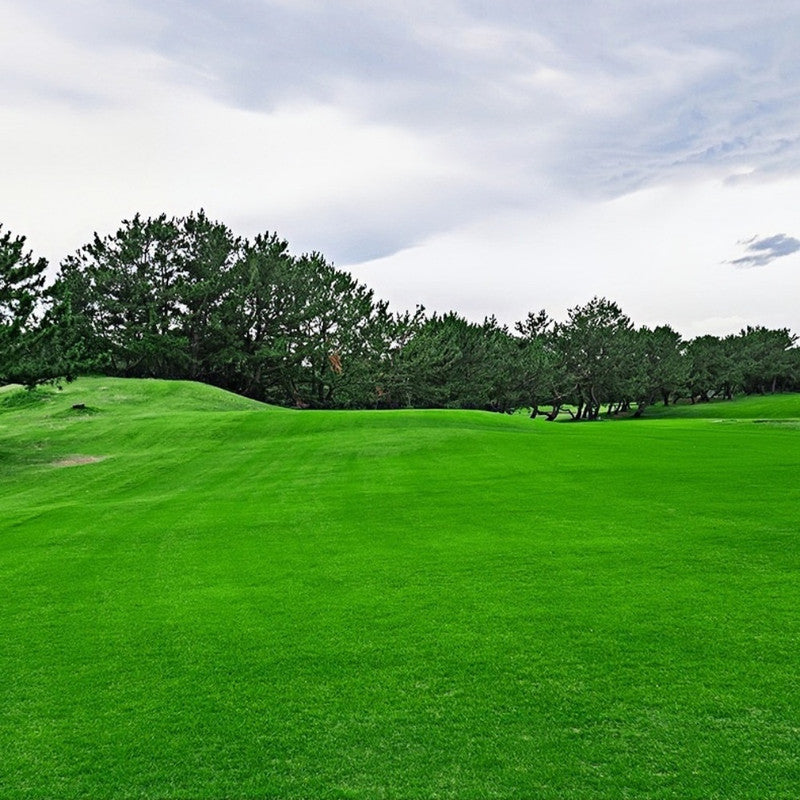 Perennial Ryegrass Seeds - Emerald