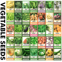 Vegetable Seed Vault