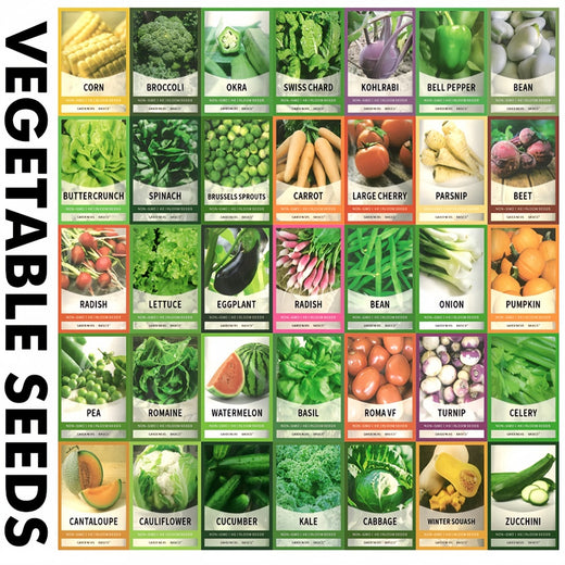 Vegetable Seed Vault