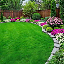 Perennial Ryegrass Seeds - Emerald