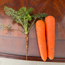 Orange Carrot Seeds
