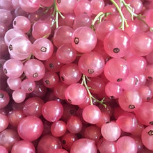 Pink Gooseberry Seeds