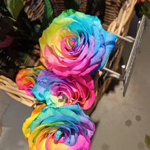 Rainbow Rose Flower Seeds