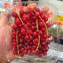 Red Currant Seeds