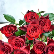Red Miniature Rose Seeds