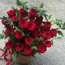 Red Miniature Rose Seeds