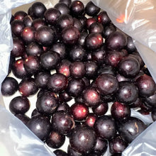 Red Muscadine Grape Seeds