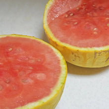 Red in Gold Watermelon Seeds