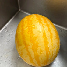 Red in Gold Watermelon Seeds