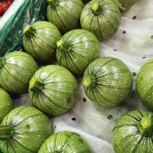 Round Zucchini Seeds