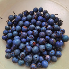 Rudraksha Seeds