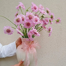Scabiosa Seeds - Pink