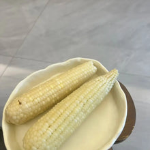 Silver Queen Hybrid Sweet Corn Seeds