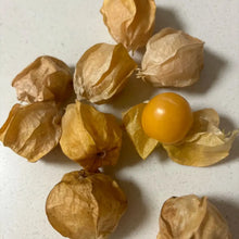 Spondias Mombin Seeds