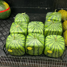 Square Watermelon Seeds