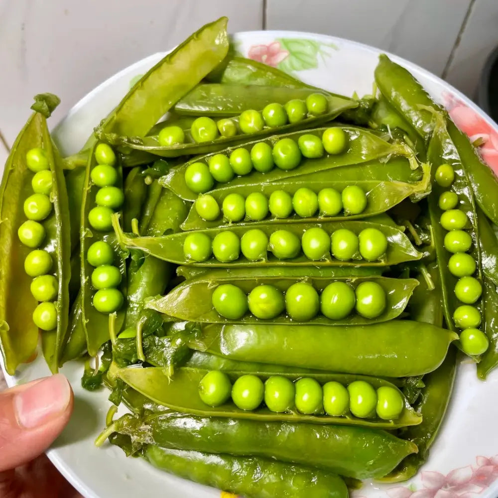 Sugar Snap Pea Seeds
