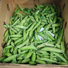 Sugar Snap Pea Seeds