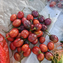 Tamarillo Seeds