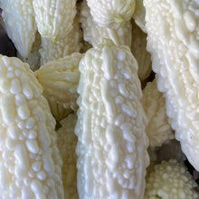 White Bitter Gourd Seeds
