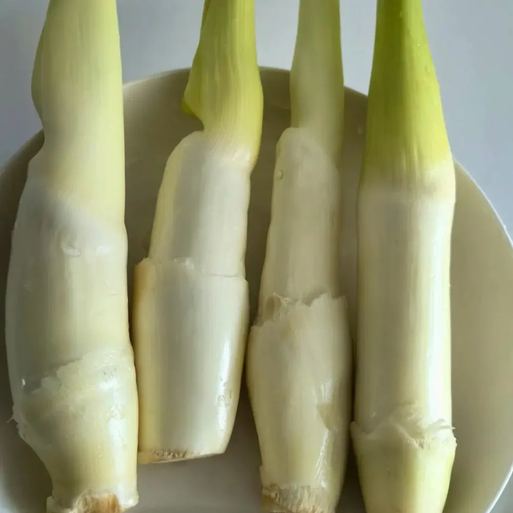 Zizania Latifolia Vegetable Seeds