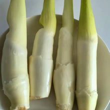 Zizania Latifolia Vegetable Seeds