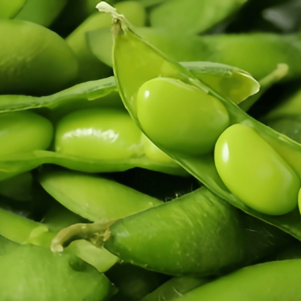Edamame Seeds  up to 50%