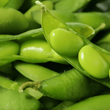 Edamame Seeds