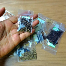 Flower Seed Bundle