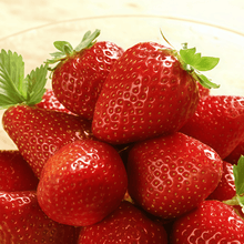 Strawberry Seeds