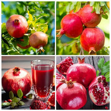 Pomegranate Seeds