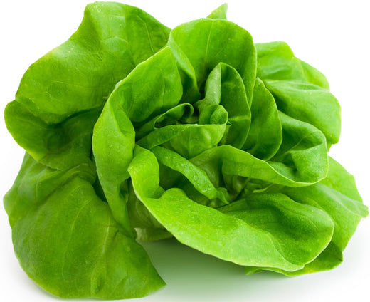 Lettuce Seeds