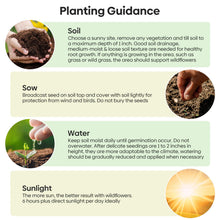 Flower Seed Bundle