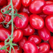 Cherry Tomato Seeds