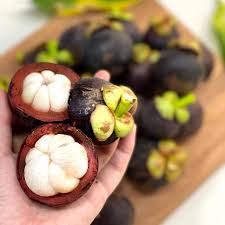 Mangosteen Tree Seeds up to 50%