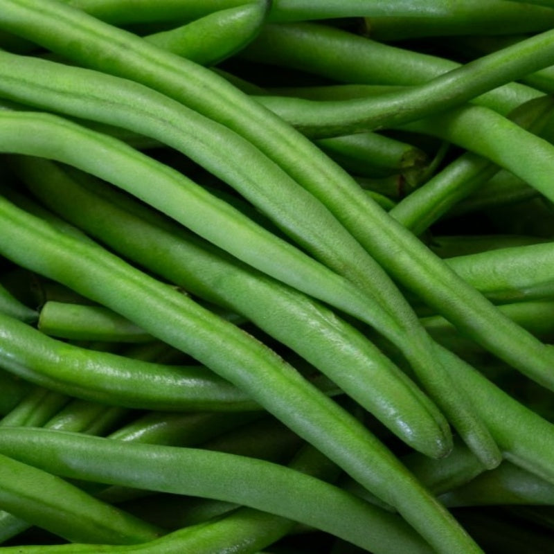 French Bean Seeds up to 50%