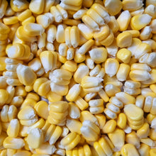 Corn Seeds