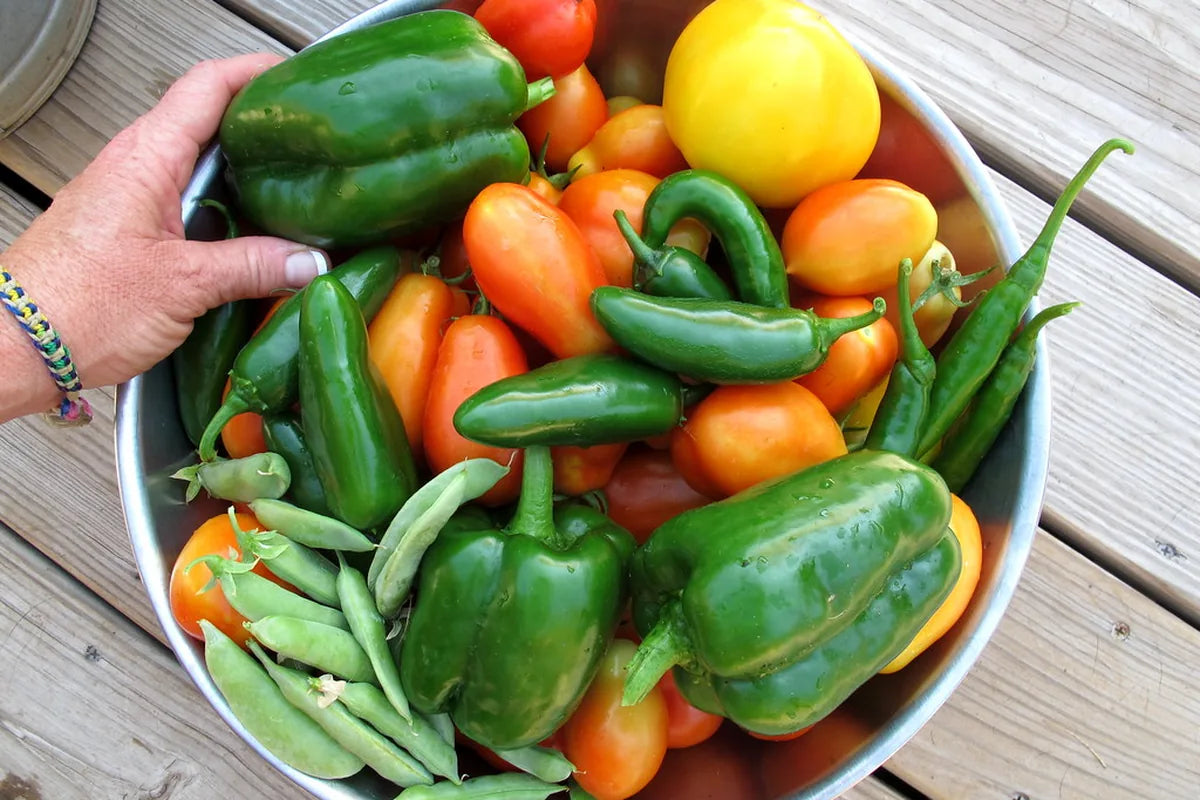 Fruiting Vegetables